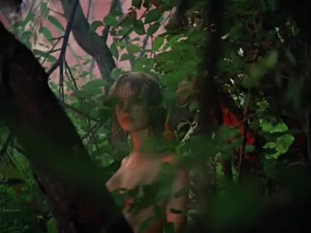 Il ragazzo ha visto accidentalmente una ragazza nuda nella foresta